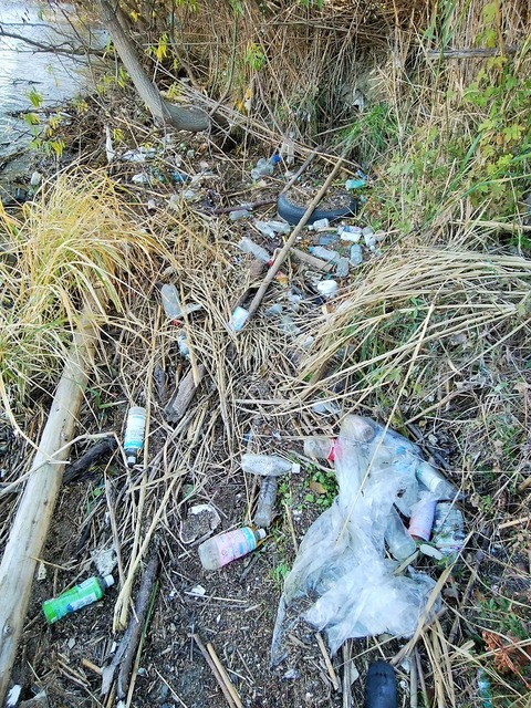 132028857_2879814562295285_1052086405467637378_o