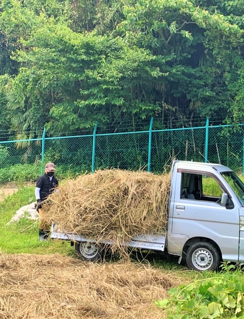 54FB8CEA-BD3D-482F-BCCD-41839CA45C60