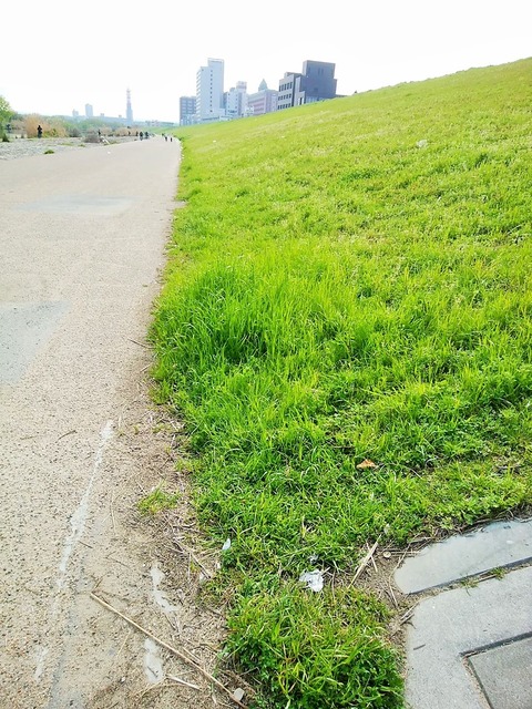 91793299_2634928043450606_2771164636555247616_o