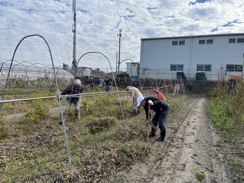 0BD4410E-1326-4383-8469-FF3C61517E2E