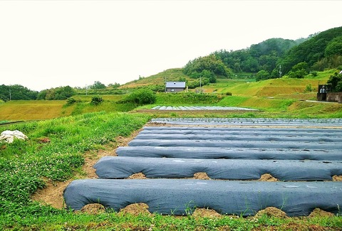 98124728_2671447563131987_2765072925525540864_o