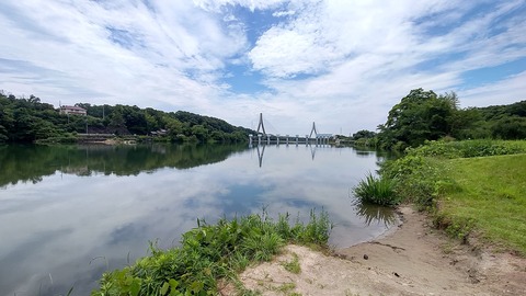 210606 豊田水源公園下流側DSC_0144