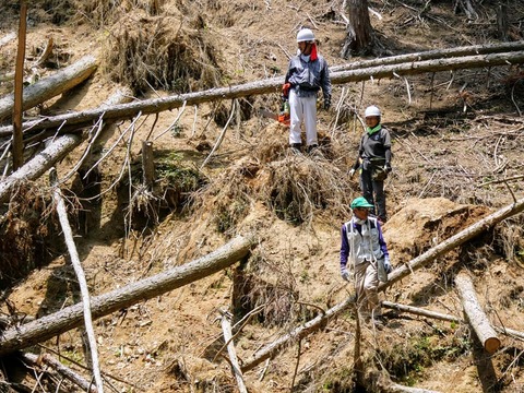 65157073_2311654485580600_7755099821328826368_n