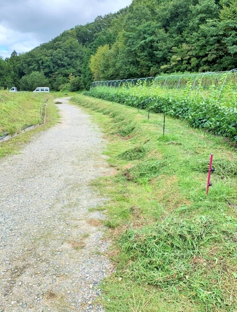 DA4712CB-1BF7-437F-9CCF-5F45D3EE0312