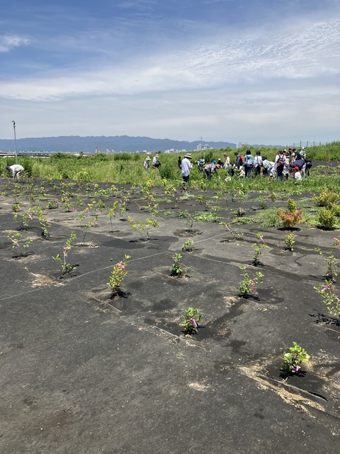 4F3E6B97-D8D3-4954-902D-811850E1BFD2