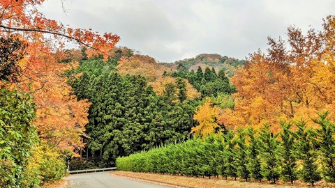 257765001_4597770916968934_1990761862441833615_n