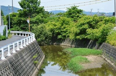 高橋川