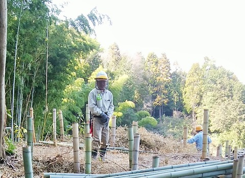 IMG_20200321_141702 (2)