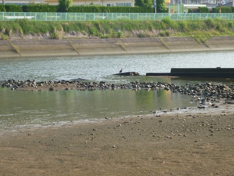 P1030479