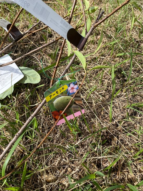 LINE_ALBUM_20220920_220920_2