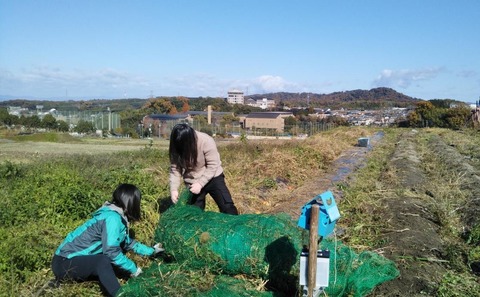 穂の会（３）防護ネットの整理