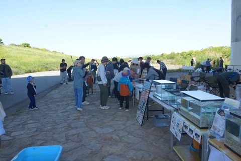 DSC04585