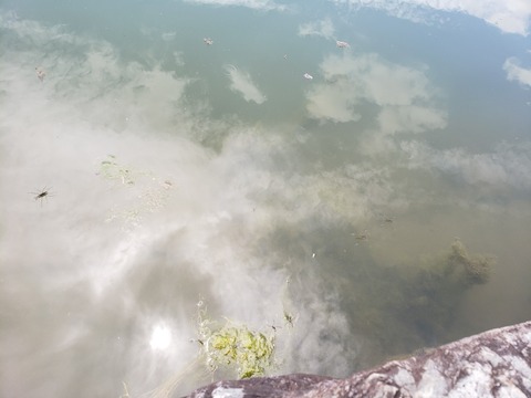 今池2