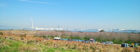 img_14_m