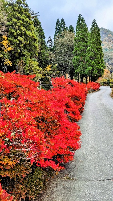 257771808_4597770683635624_3255867947293669264_n