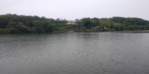 190602 豊田市水源公園(正面)DSC_0113-1