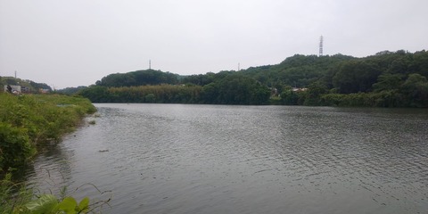 190602 豊田市水源公園(上流側)DSC_0114-1