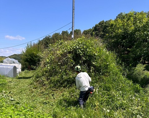 LINE_ALBUM_20230603_230603_1