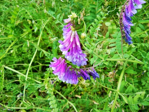 IMG_20200517_130343