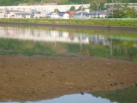 P1030475
