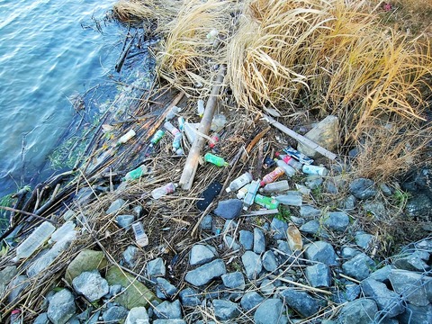 132034008_2879814765628598_2033318738991352255_o