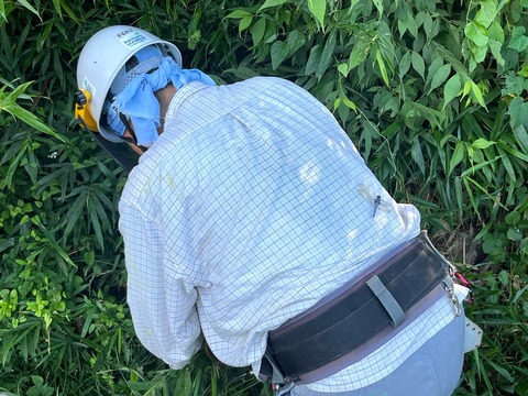 296659323_5236338786473417_7304844660983368999_n