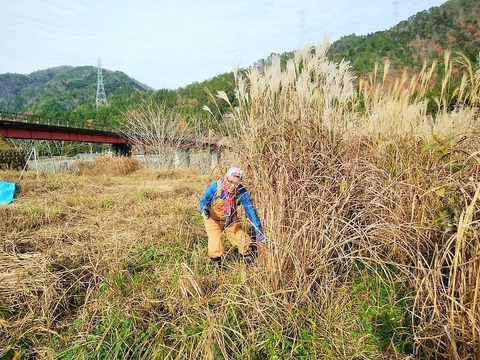 IMG_20201210_100205