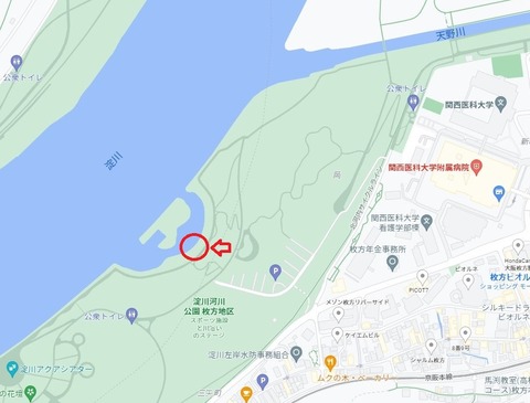 図1