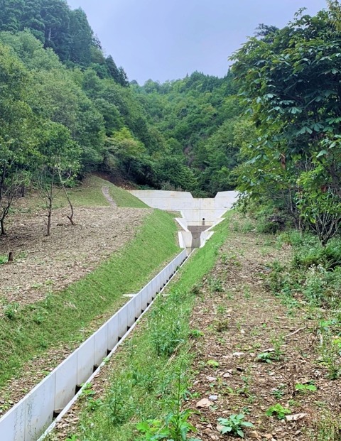 S__48062481