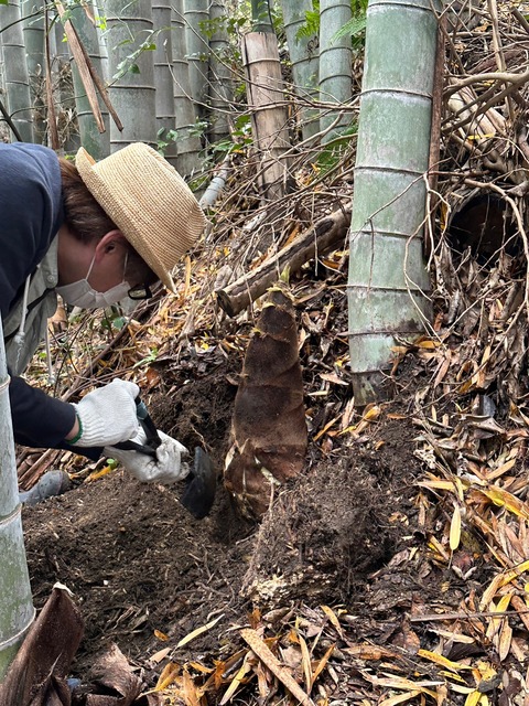 LINE_ALBUM_20230416_230416_5