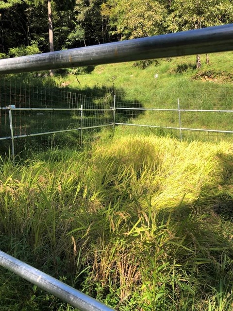 242502259_3123902191268331_5071387603792449255_n