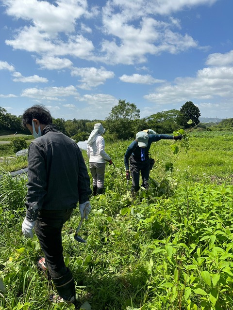 LINE_ALBUM_20230603_230603_3