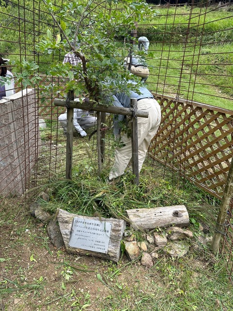 LINE_ALBUM_20240928ささやま活動_240928_11