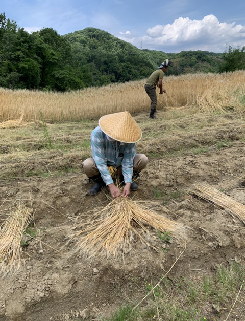 C721BBB1-85AB-427C-B51D-6D964A54A3F8