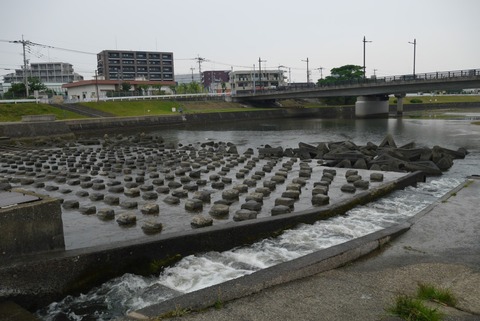 採水地点から下流側