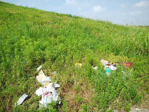 69578330_2427285954214817_8410374078212341760_n