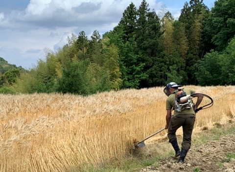 438DBD72-39F3-41A8-BF23-857DC9D85CC3