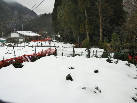 img_2_m