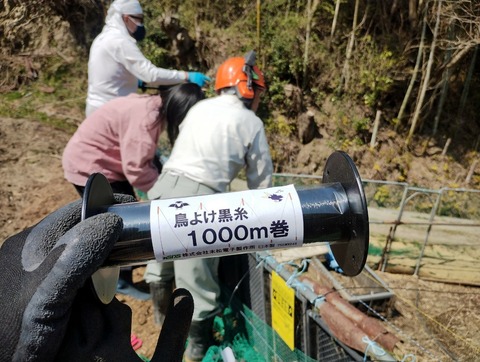 LINE_ALBUM_2025-03-23穂谷_250323_2