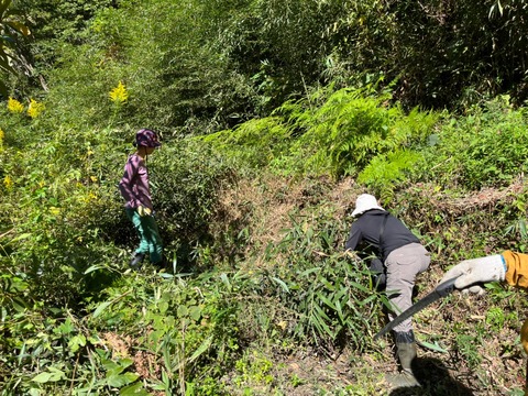 LINE_ALBUM_2022.10.15 穂谷活動_221015_25