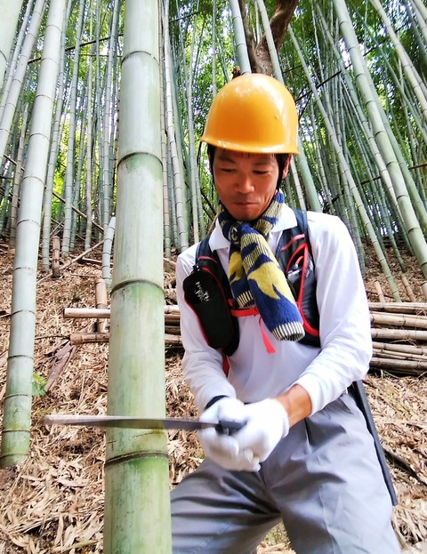 IMG_20200815_104555 (2)