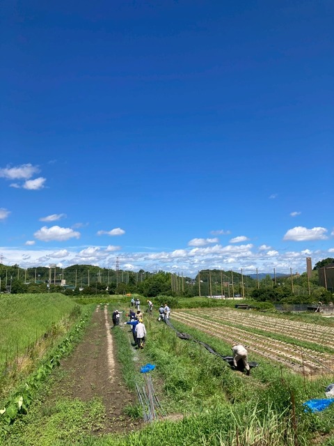 LINE_ALBUM_2025年7月の会_250720_2