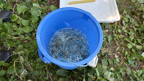 LINE_ALBUM_20250713庭窪ワンド_250713_2