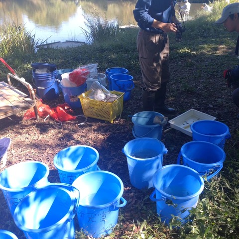 462876361_576835041442555_1128623354532680238_n