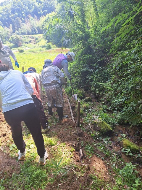 LINE_ALBUM_2025621_250621_5