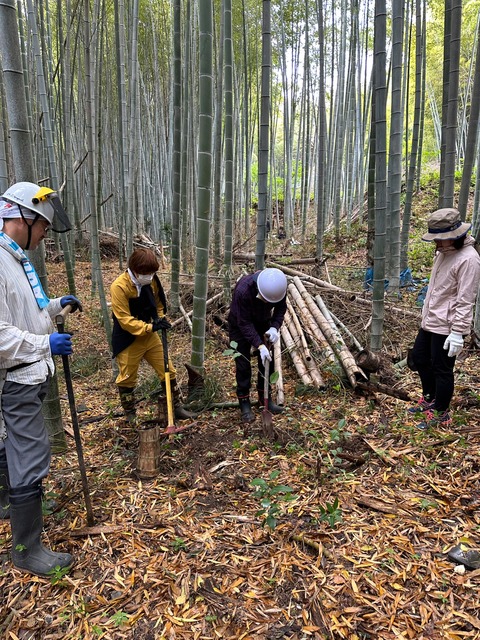 LINE_ALBUM_20230416_230416_4