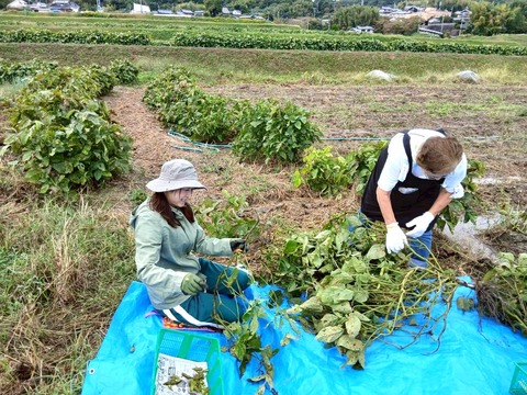 LINE_ALBUM_20251019_251019_2