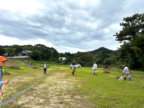 S__4522000_0