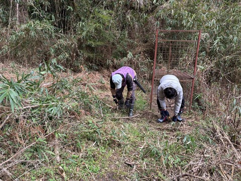 LINE_ALBUM_20250315穂谷宮之浦_250315_12