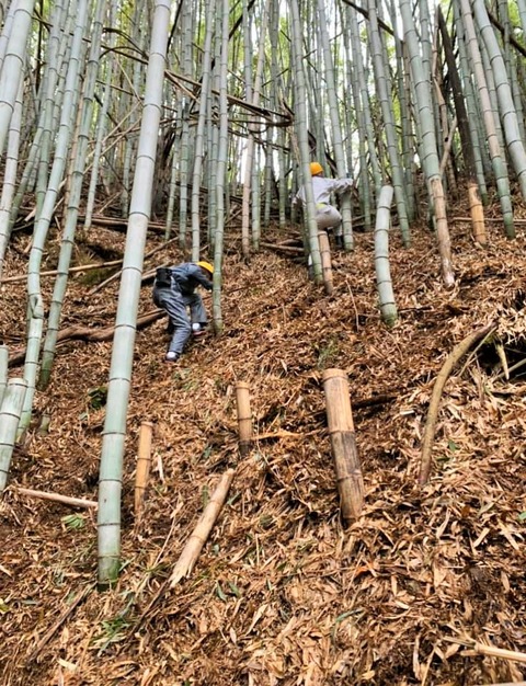 84679488_2737433066339581_5797540185503694848_n